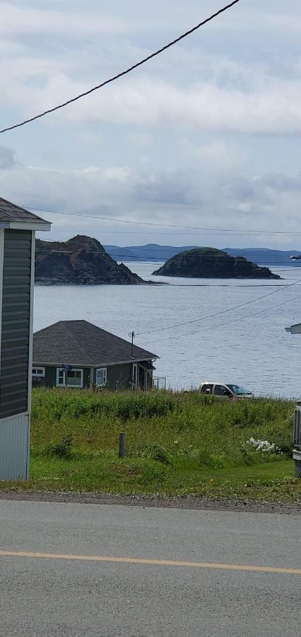 Hillside Cottage 2 Twillingate Kültér fotó